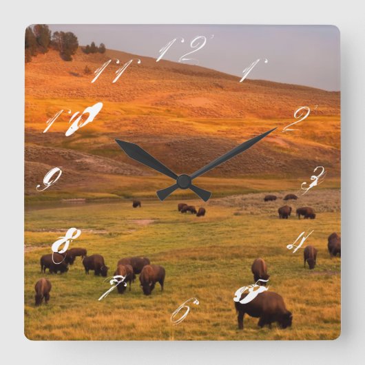 バイソングレーズオンヒルアットハイデンバレー スクエア壁時計 (正面)