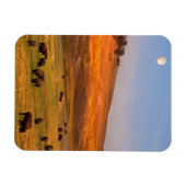 バイソングレーズオンヒルアットハイデンバレー マグネット (横)