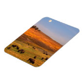 バイソングレーズオンヒルアットハイデンバレー マグネット (左側)