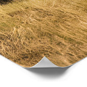 バイソングレーズバイザリバー ポスター (角)