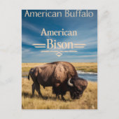 バイソングレーズバイザリバー ポストカード (正面)