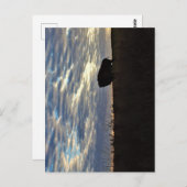 バイソンシルエットポストカード ポストカード (正面/裏面)