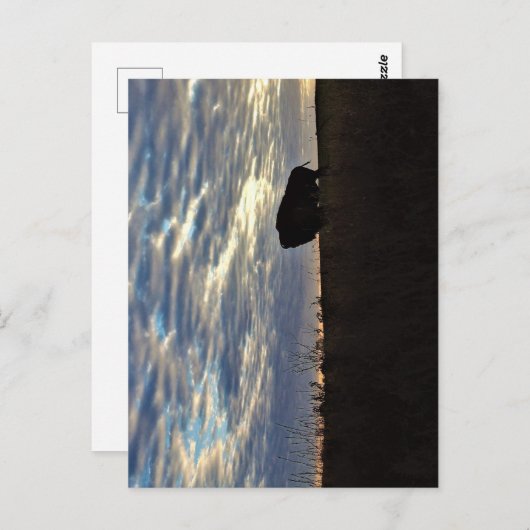 バイソンシルエットポストカード ポストカード (正面/裏面)