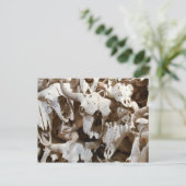 バイソンスカル ポストカード (スタンド正面)