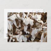 バイソンスカル ポストカード (正面/裏面)