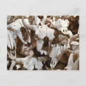 バイソンスカル ポストカード (正面)