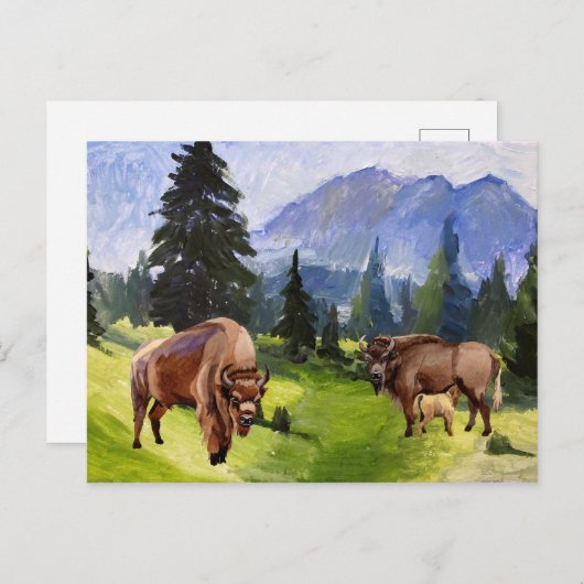 バイソンバッファローウォーターカラー風景 シーズンポストカード (正面/裏面)