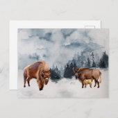 バイソンバッファローウォーター色景観冬 シーズンポストカード (正面/裏面)