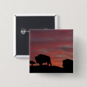 バイソンファミリー 缶バッジ (正面&裏面)