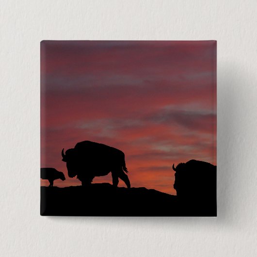 バイソンファミリー 缶バッジ (正面)