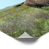 バイソンブルアットマックスウェル・ワイルドライフレッジ ポスター (角)