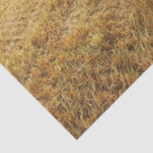 バイソンプレーリ 薄葉紙 (詳細)