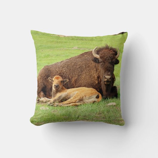 バイソンマザーアンドカーフ装飾用クッション クッション (正面)