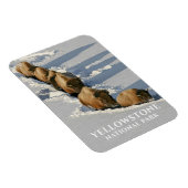 バイソンライン歩くスルー深いスノーイエローストーン マグネット (右側)