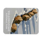 バイソンライン歩くスルー深いスノーイエローストーン マグネット (横)