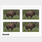 バイソンランニング恋人のデザインバッファロー&フォレスト 長方形シール (シート)