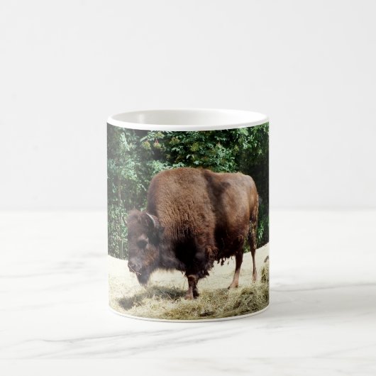 バイソン動物 コーヒーマグカップ (中央)