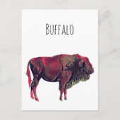バイソン又は賢い動物のためのバッファローポートレートデザイン シーズンポストカード (正面)