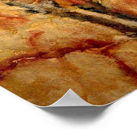 バイソン洞窟のコ絵画ピー ポスター (角)