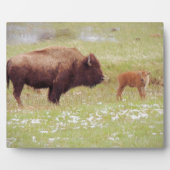 バイソン&カーフイエローストーン フォトプラーク (正面)