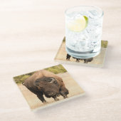 バイソン ガラスコースター (アングル)