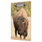 バイソン クリップボード (左)