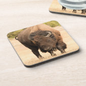 バイソン コースター (左側)