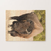 バイソン ジグソーパズル (横)