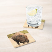 バイソン スクエアペーパーコースター (インサイチュ)