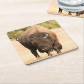 バイソン スクエアペーパーコースター (アングル)