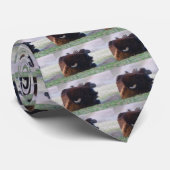 バイソン ネクタイ (ロール)