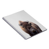 バイソン・バッファロー写真135 ノートブック (右側)