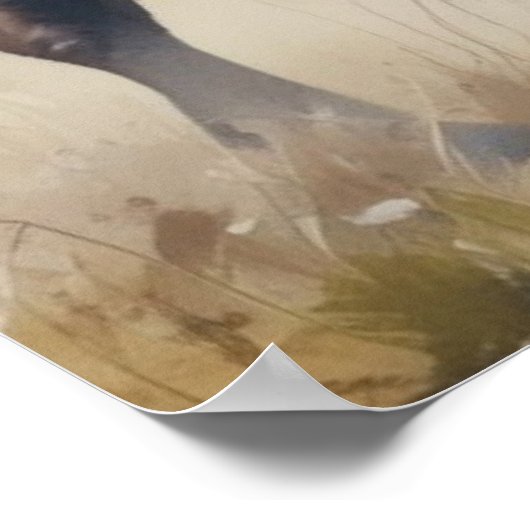 バイソン ポスター (角)