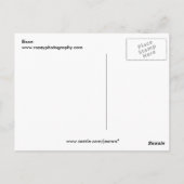 バイソン ポストカード (裏面)