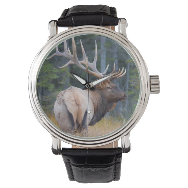バイソン・ロックイーマウンテンエルク 腕時計 (正面)