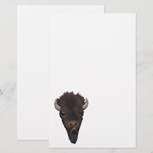 バイソン 便箋 (正面/裏面)