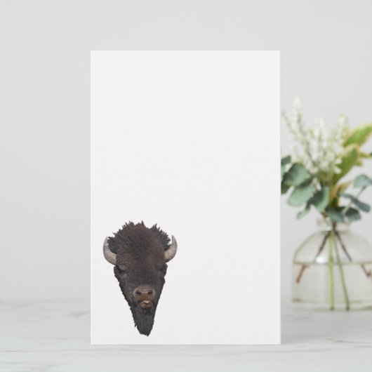 バイソン 便箋 (スタンド正面)