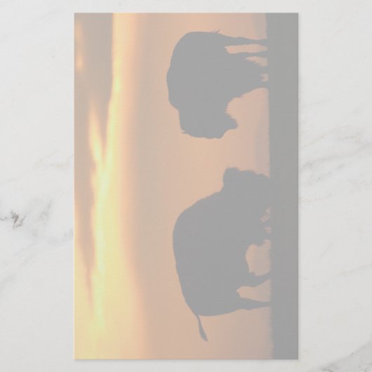 バイソン 便箋 (正面)