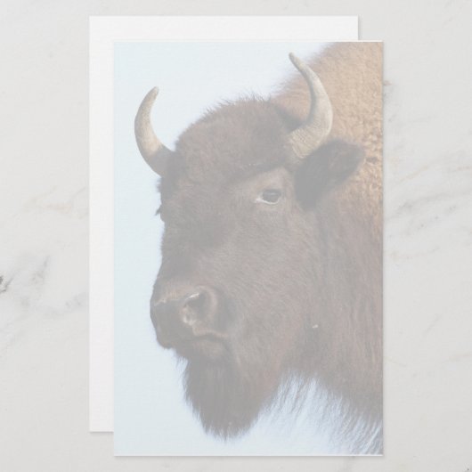 バイソン 便箋 (正面/裏面)