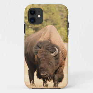 バイソン iPhone 11 ケース