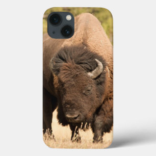バイソン iPhone 13ケース