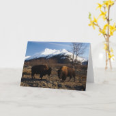 バイソンTet-a-Tet カード (黄色い花)