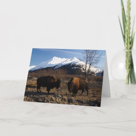 バイソンTet-a-Tet カード (正面)