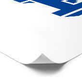 バイデン氏46アヴィエーターサングラスとのridin' ポスター (角)