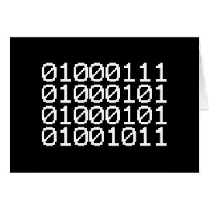 バイナリギークカード