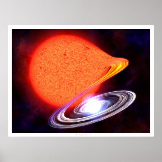 バイナリ ポスター (正面)