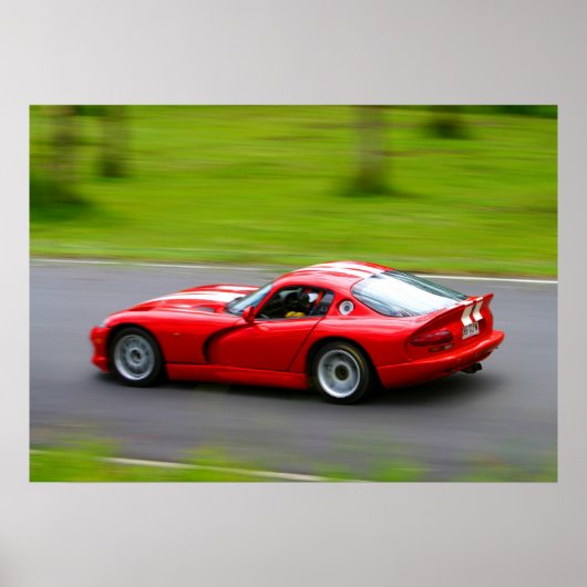 バイパーファン ポスター (正面)