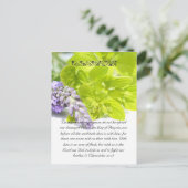 バイブルの通路、ハーブのクローズアップ ポストカード (スタンド正面)