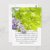 バイブルの通路、ハーブのクローズアップ ポストカード (正面/裏面)