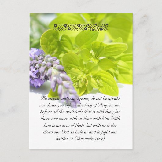 バイブルの通路、ハーブのクローズアップ ポストカード (正面)